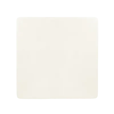 RAK Porcelain SPSP30 China Plate
