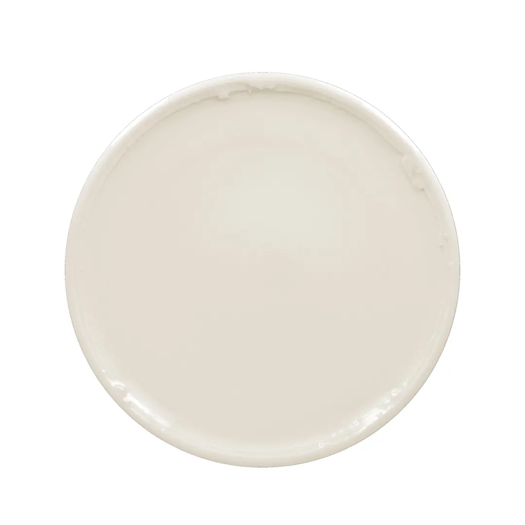 RAK Porcelain STRP24 - 9-7/16" Round Porcelain Plate Vitrified Dishwasher & Microwave Safe - 12/Case