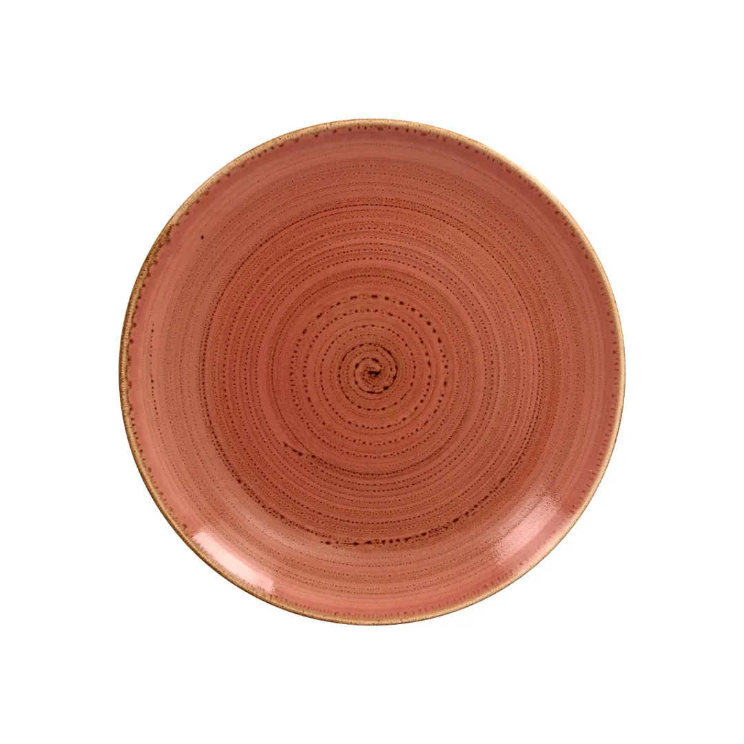 RAK Porcelain TWNNPR24CO China Plate