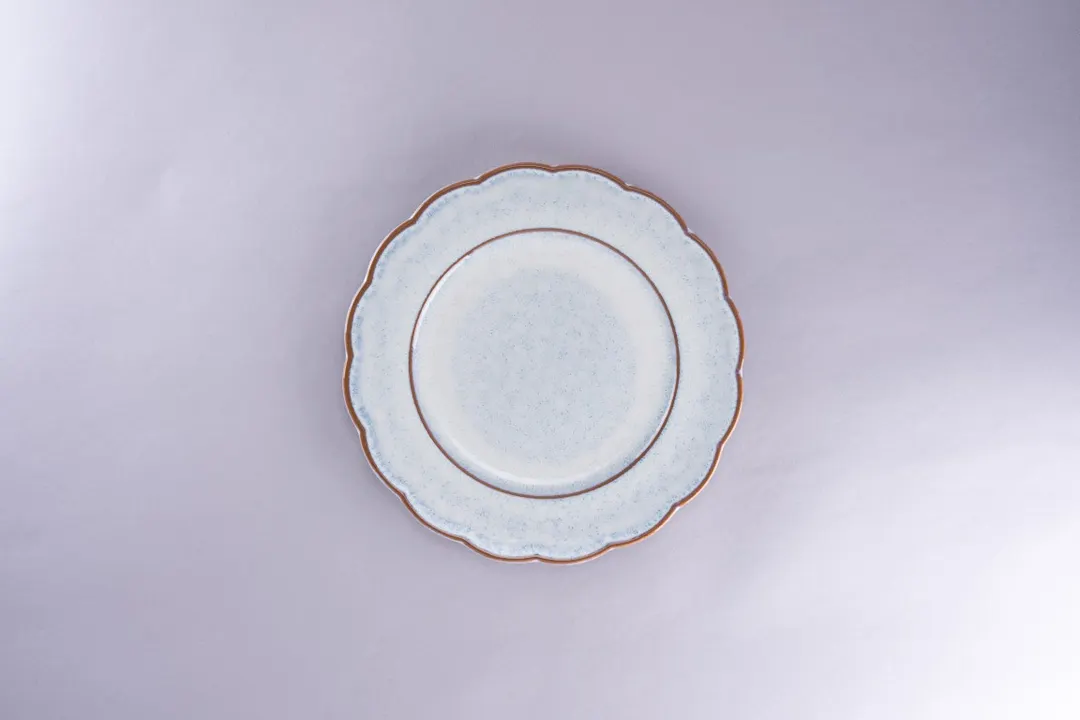 RAK Porcelain VIFP24VCM - 9.45" Round Porcelain Plate, Oven Microwave Dishwasher Safe - 12/Case