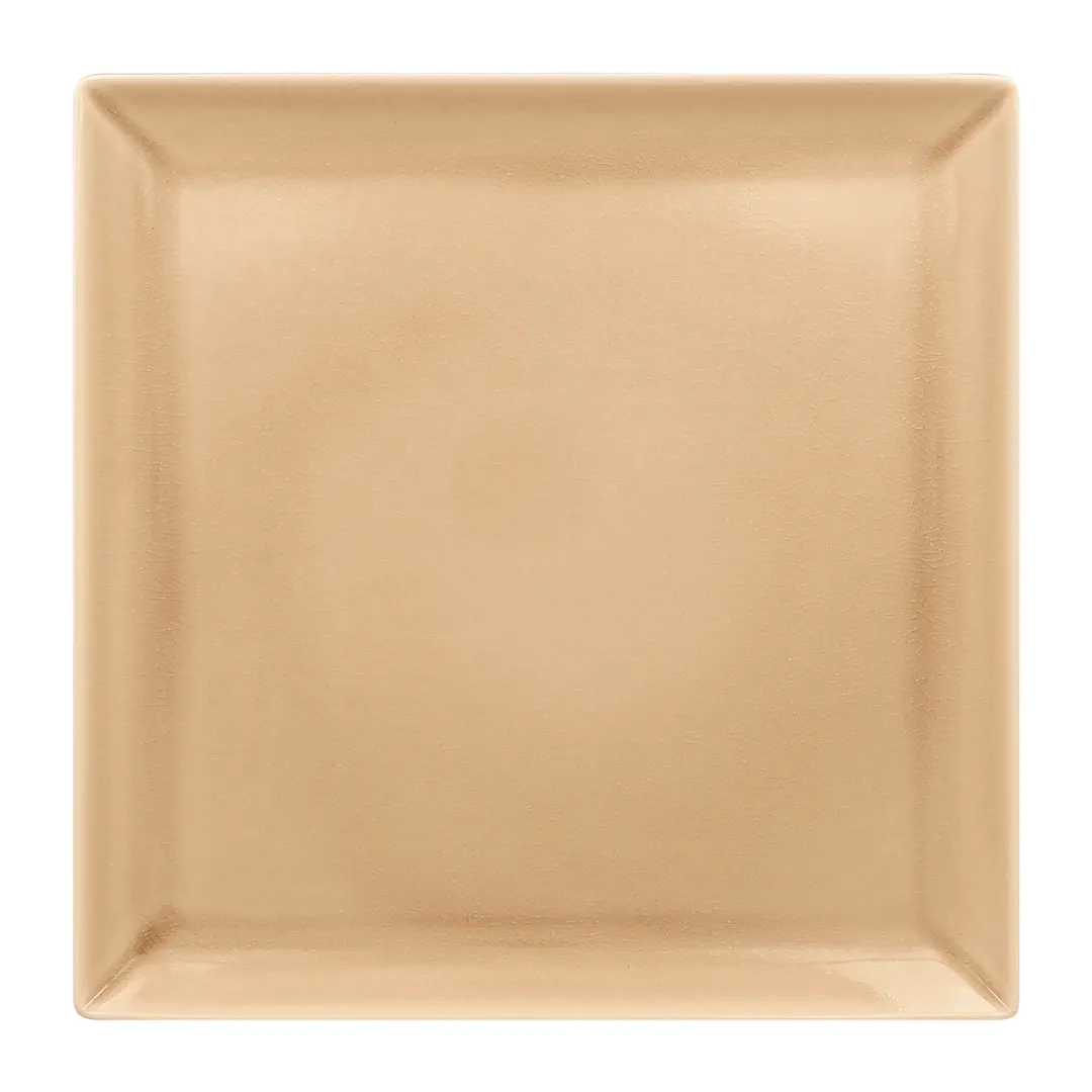 RAK Porcelain VNEDSQ25BG China Plate