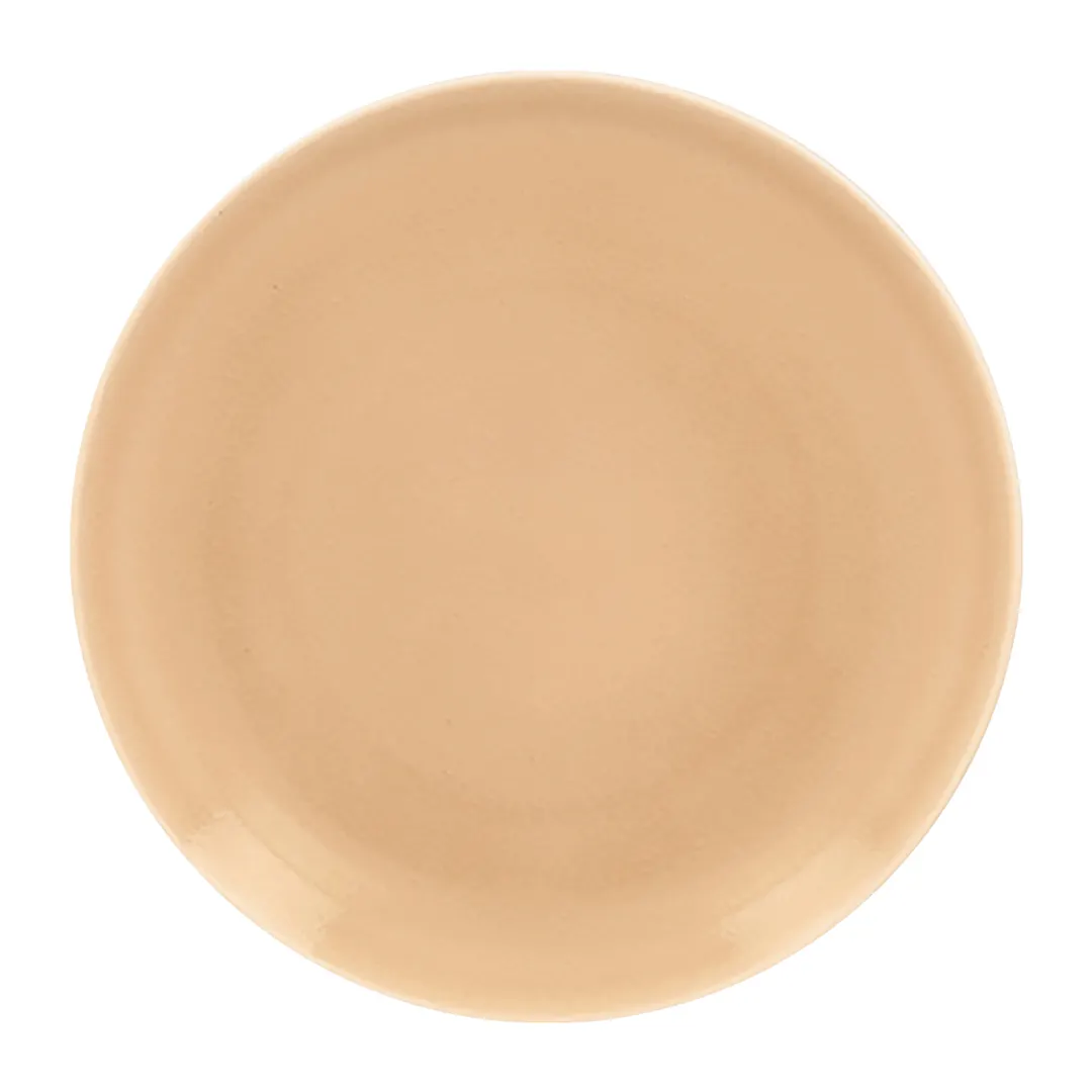 RAK Porcelain VNNNPR24BG China Plate