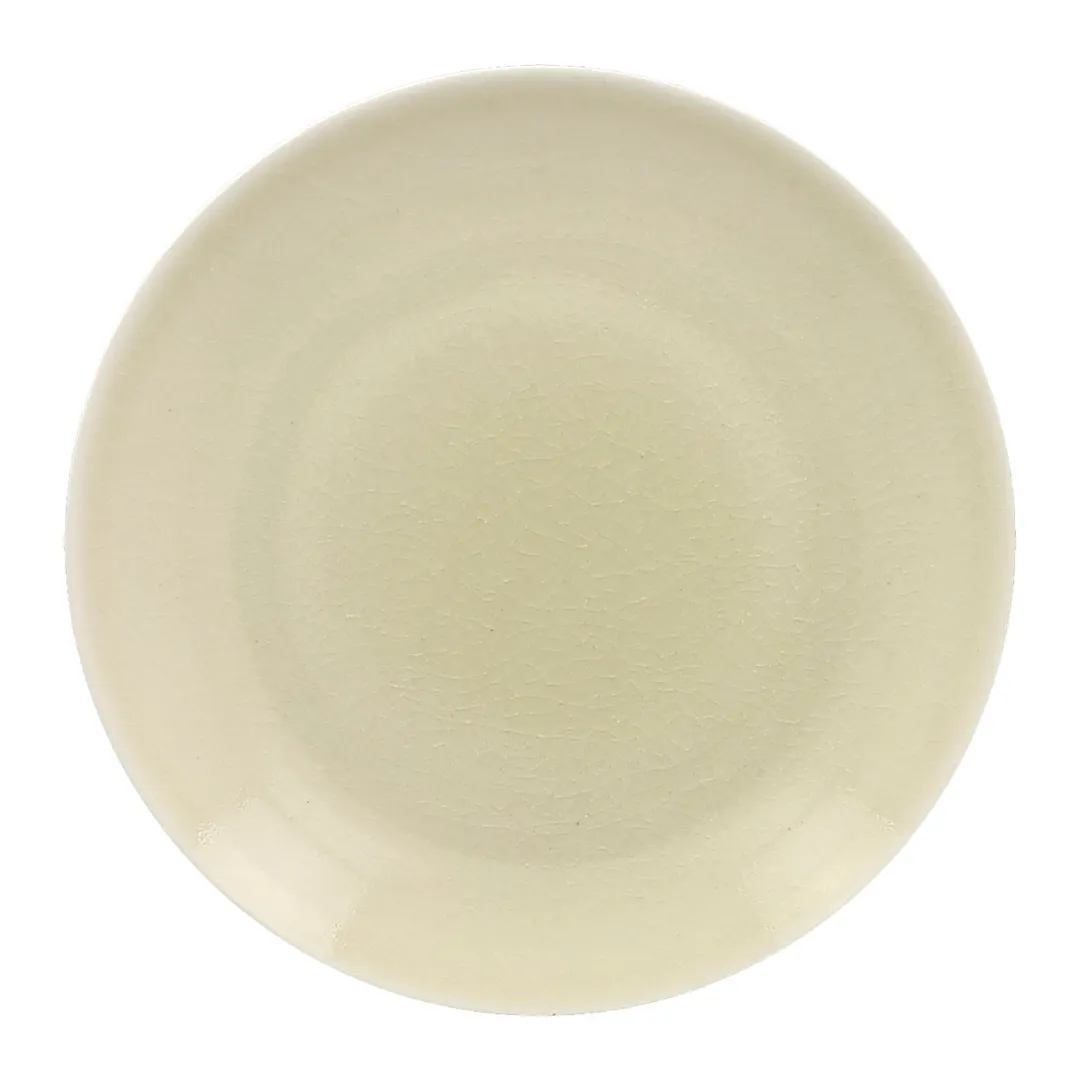 RAK Porcelain VNNNPR29PL China Plate