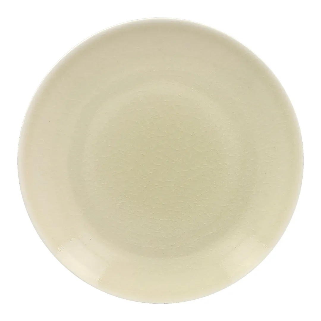 RAK Porcelain VNNNPR31PL China Plate