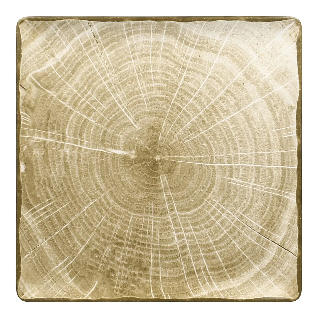 RAK Porcelain WDEDSQ30MG Square Plate, 11.75" Moss Green Porcelain, Lead-Free, Oven Safe - 6/Case