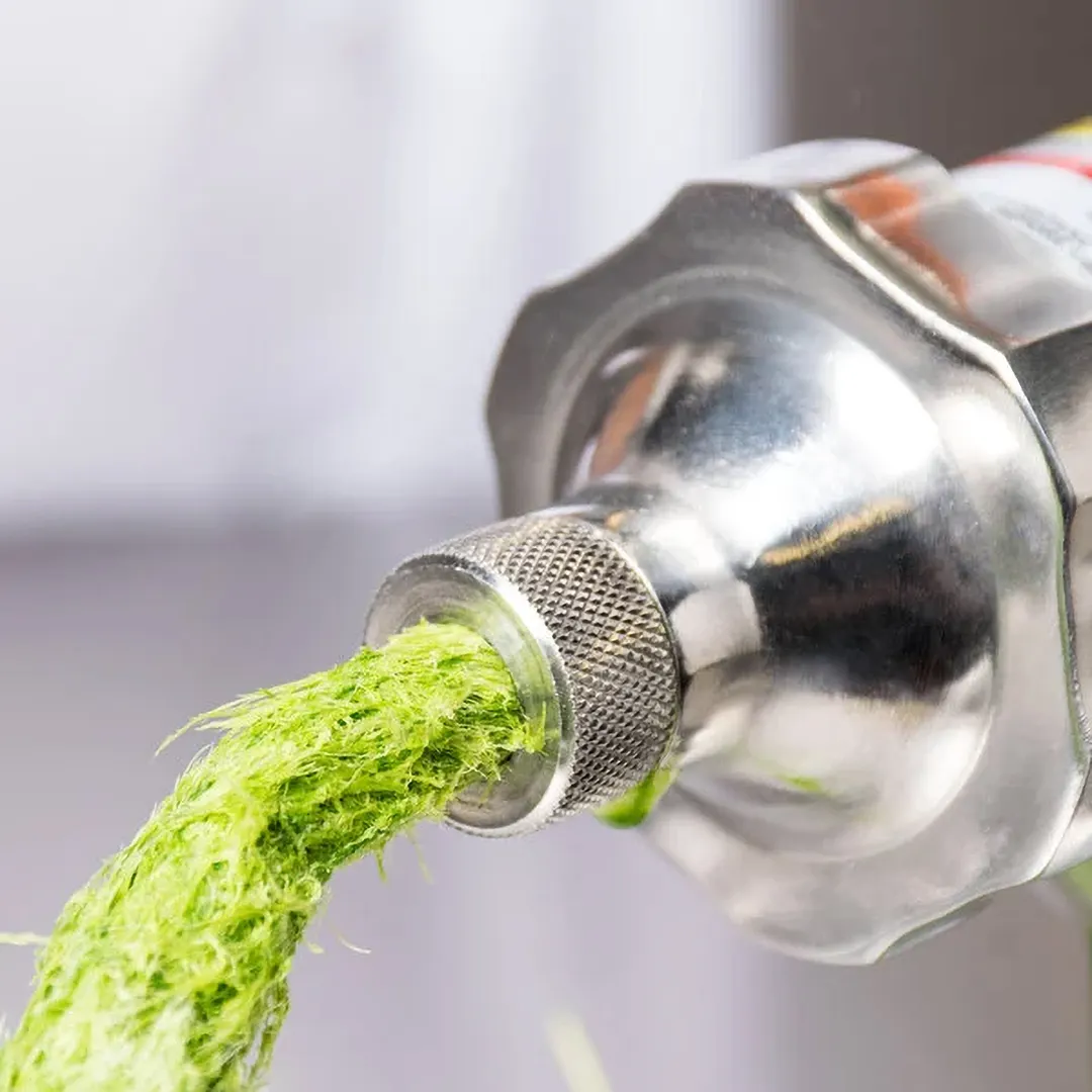 Hamilton Beach HWG800 Wheatgrass Juicer, Electric, 3/8 HP