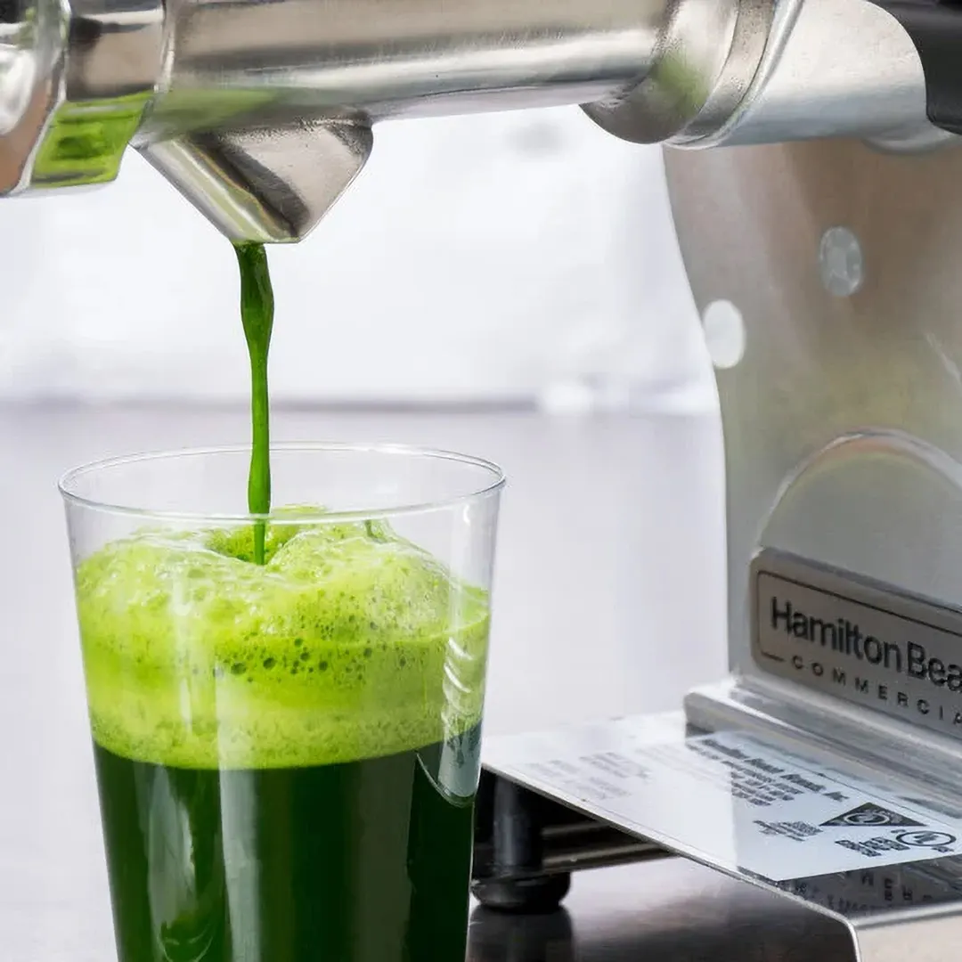 Hamilton Beach HWG800 Wheatgrass Juicer, Electric, 3/8 HP