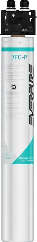 Everpure EV929840 for Multiple Applications Water Filtration System