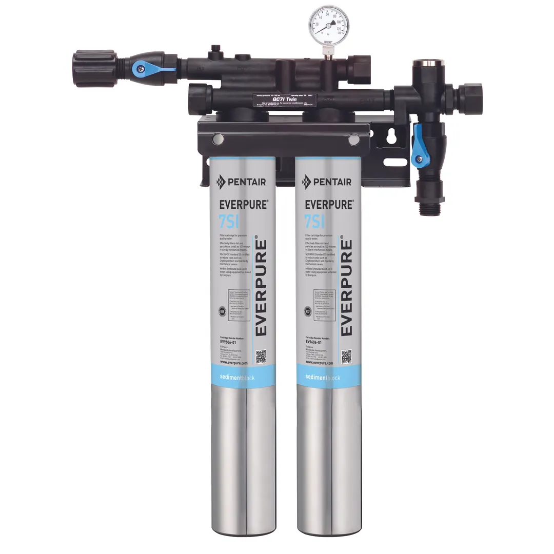 Everpure EV932472 for Ice Machines Water Filtration System
