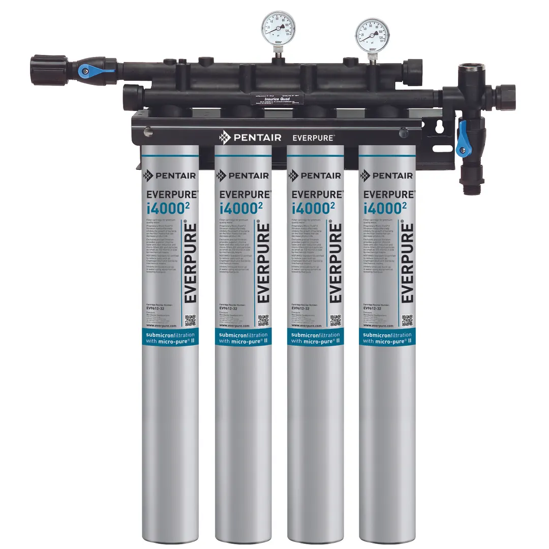 Everpure EV932504 for Ice Machines Water Filtration System