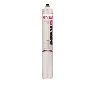 Everpure EV962704 Cartridge / Membrane Reverse Osmosis System