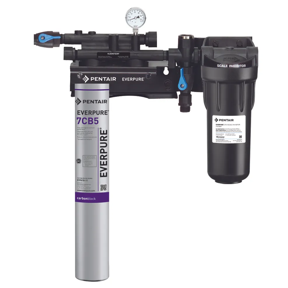 Everpure EV979721 for Steam Equipment Water Filtration System