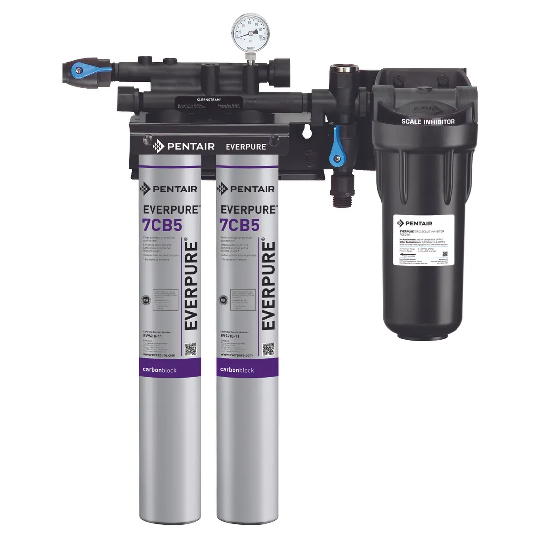Everpure EV979722 for Steam Equipment Water Filtration System