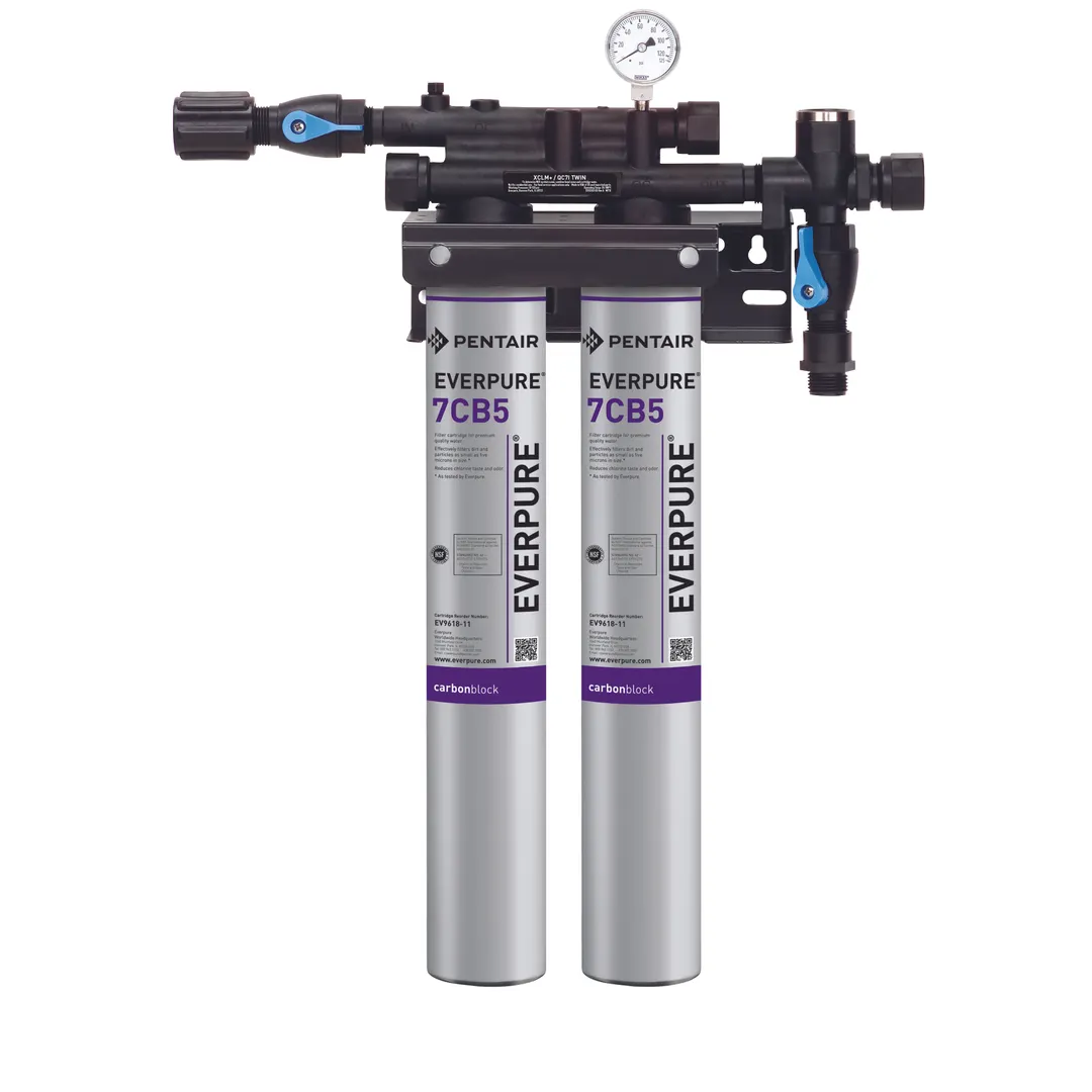 Everpure EV979740 for Steam Equipment Water Filtration System