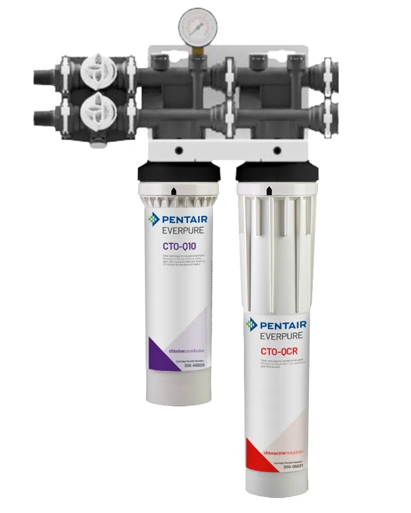 Everpure QTI+ CR for Steam Equipment Water Filtration System