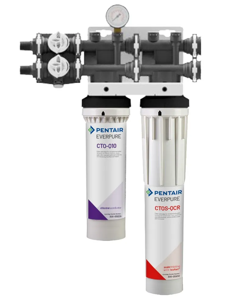 Everpure QTI1+ CR for Steam Equipment Water Filtration System