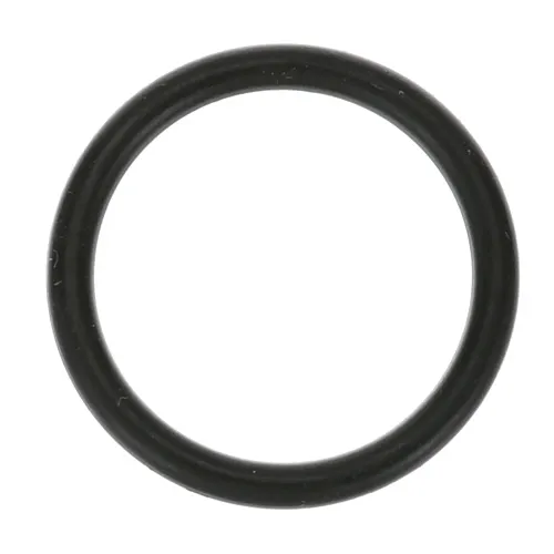 AllPoints 321299 O-Ring, 1", discharge tube