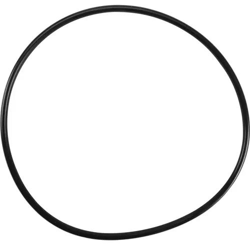 AllPoints 1171350 Water Filtration Housing O-ring, 5-3/4" OD