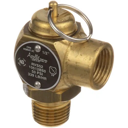 AllPoints 561160 Pressure Regulator