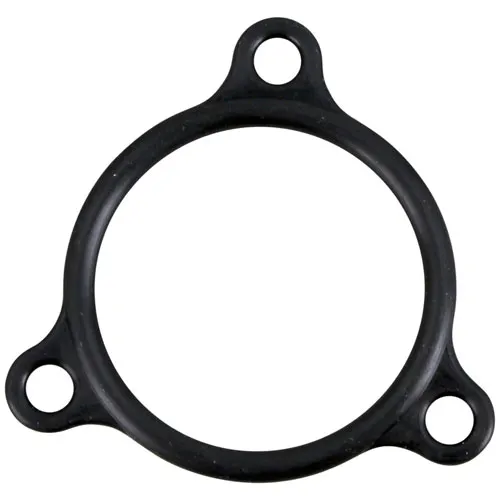 AllPoints 321900 Misc Gasket