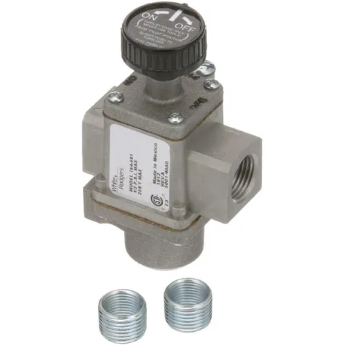 AllPoints 541164 Gas Valve