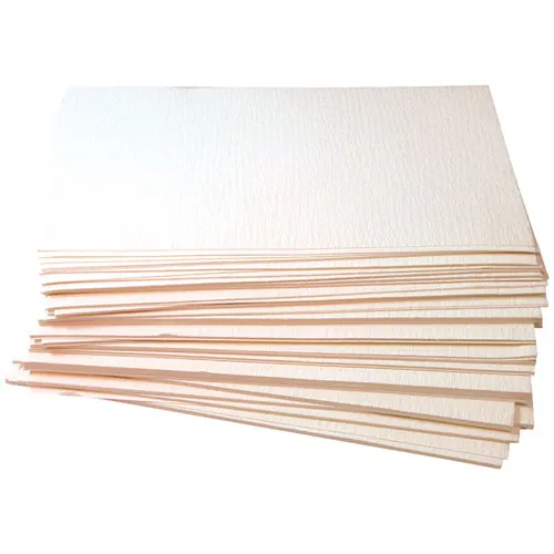 AllPoints 851290 Fryer Filter Paper