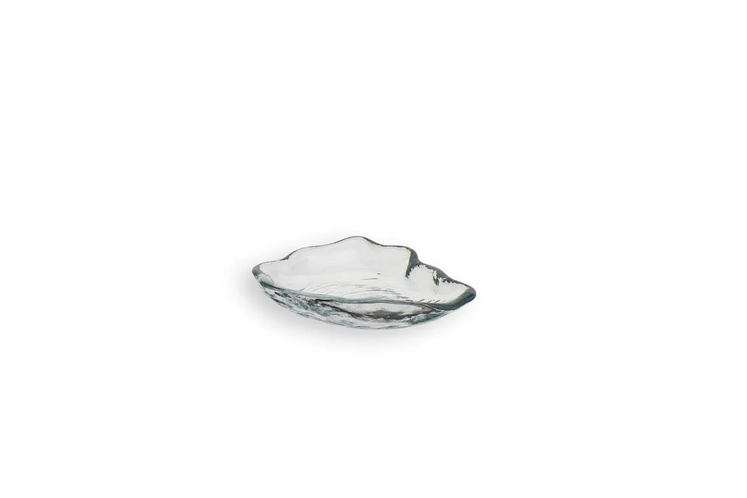 Ardacam 2242-1 Glass Plate