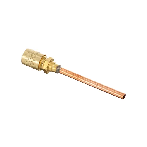 AllPoints 561387 Misc Valve