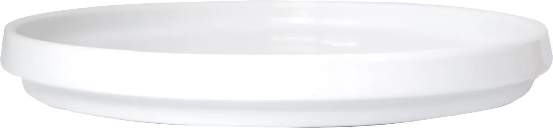 International Tableware TN-10 China Plate
