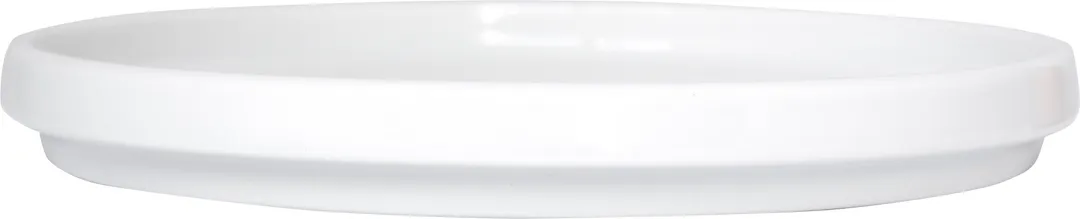 International Tableware TN-6 China Plate