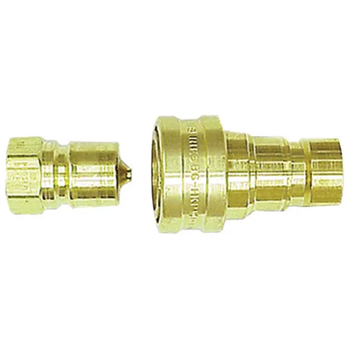 AllPoints 265799 Quick Disconnect Coupler