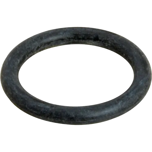 AllPoints 2661169 O-ring (Prime Plug)
