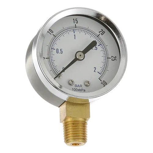 AllPoints 621106 Pressure Regulator