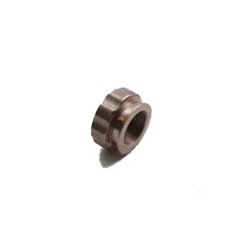 Alfa International P-1024 Nut, Brass, For Vs-12Kds/Vs-22Kds Knife Disc Assembly