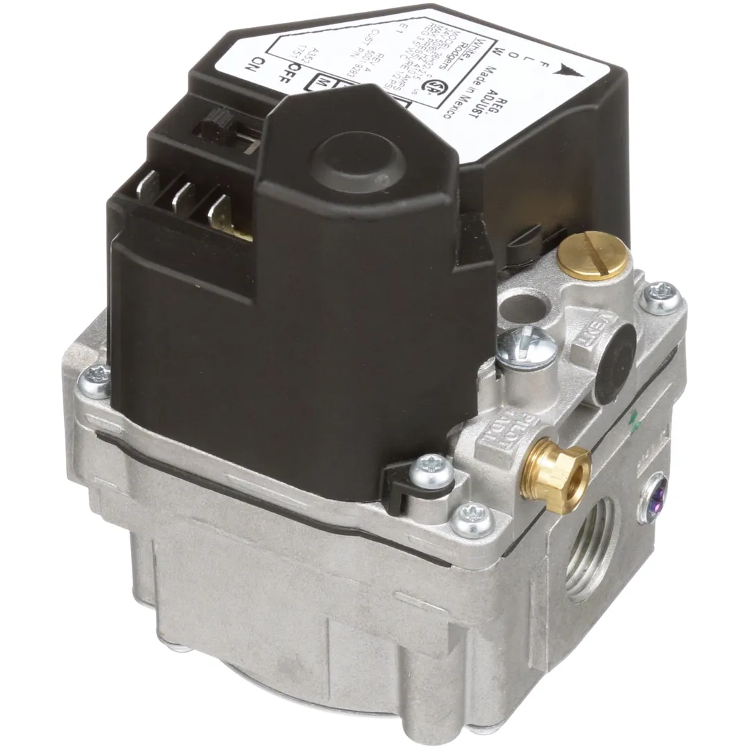 AllPoints 2271094 24 Volt New Valve C8000 / Ofg (White Rodgers)