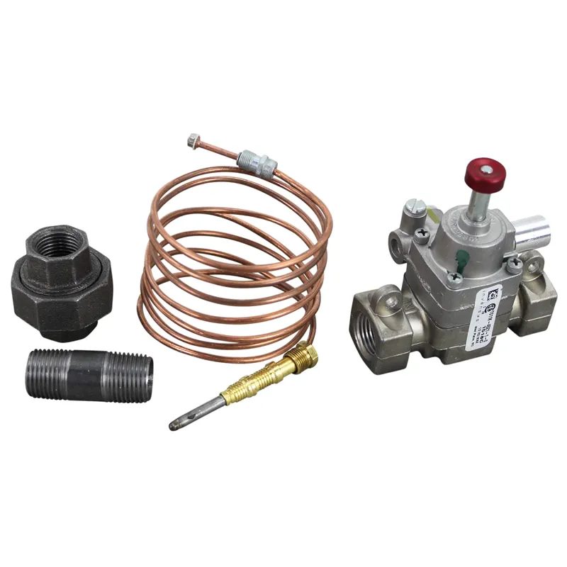 AllPoints 8002369 Field Retro Kit Valve FMEA