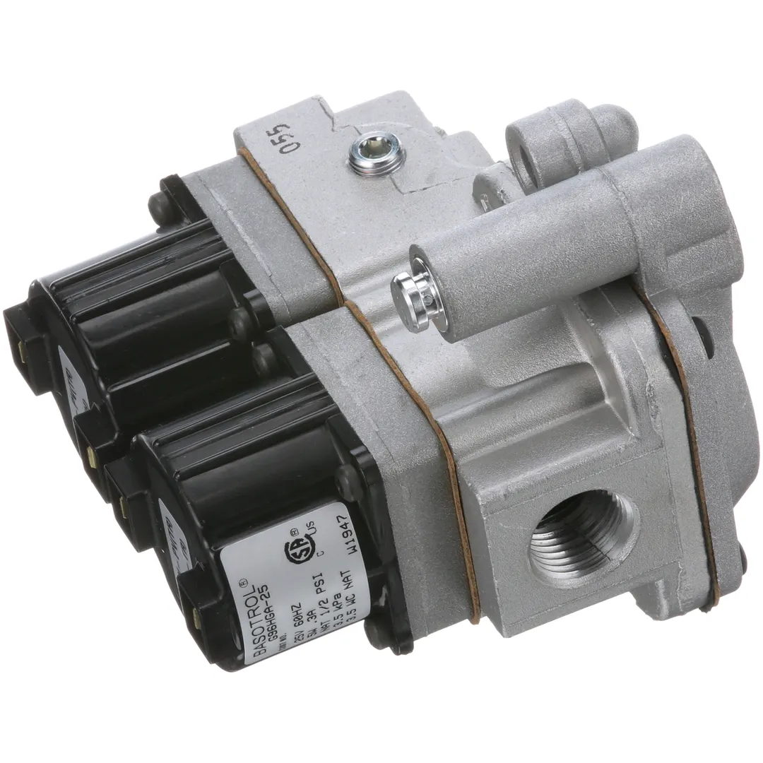 AllPoints 8010393 Control Valve - NAT, 25V, 60Hz