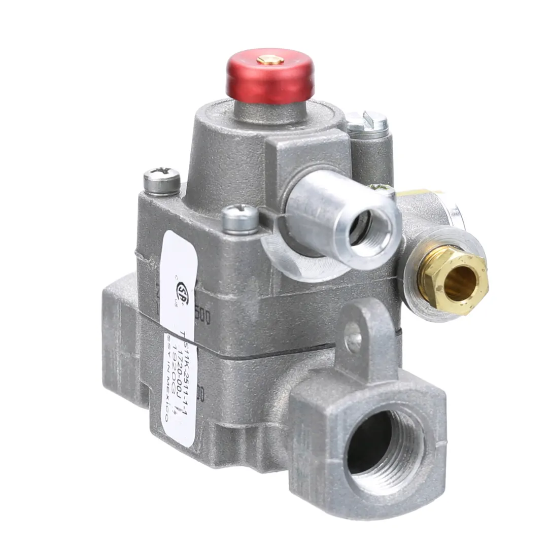 AllPoints 8013580 Safety Valve - TS11K