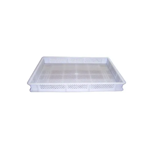 Arcobaleno APTP Pasta Tray, Perforated, 15-1/2"W X 23-1/2"D X 2-3/4"H