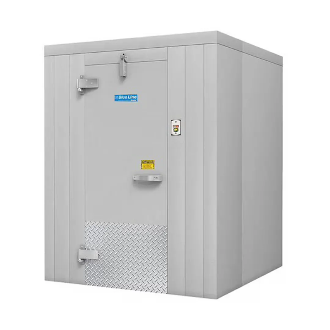 Arctic Industries BL0606-C-R Indoor 6'X6' Walk-In Cooler without Floor, Remote