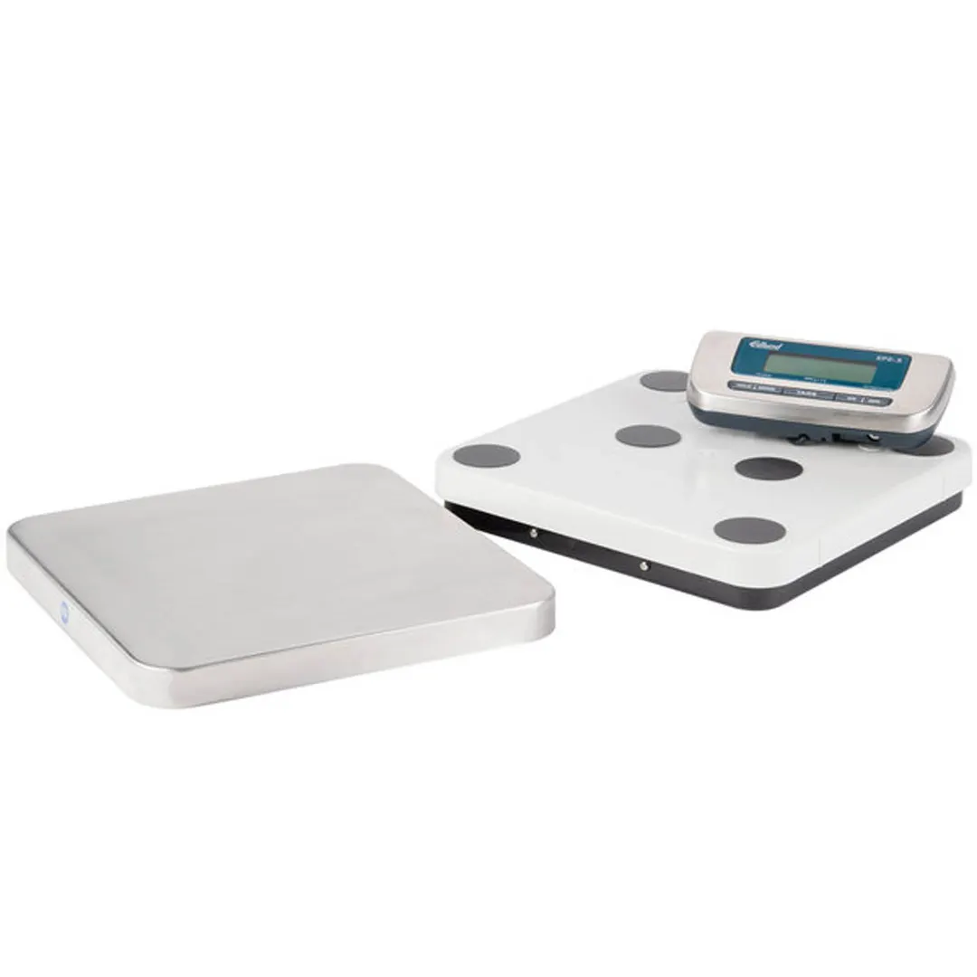 Edlund EPZ-5F Pizza Scale, 5000g Capacity, 2g Accuracy, 12" Stainless Platform, Front Tare, Portion Scale