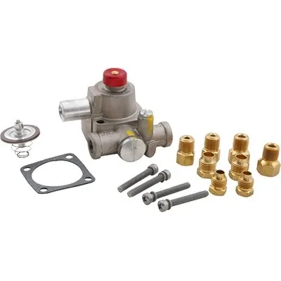 FMP 153-1007 Robertshaw® TS Replacement Magnet Head Kit w/ 1/8" NPT Inlet & Outlet