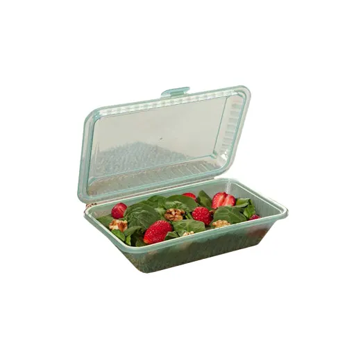 GET EC-11-1-JA G.E.T Food Container, 9"L x 6-1/2"W x 2-1/2"H, Jade PP, Reusable, 1 Dozen