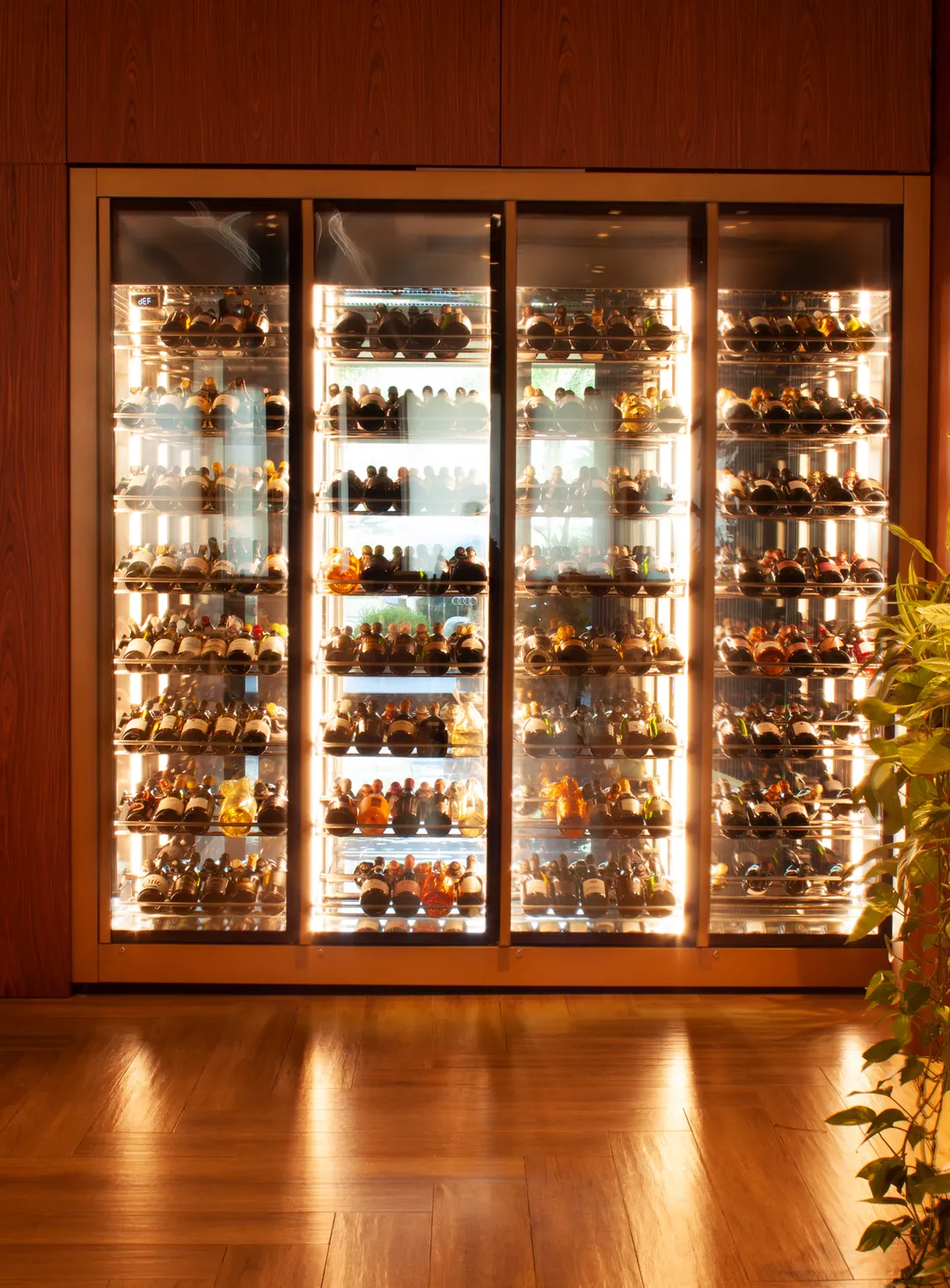 Oscartek GALA W1970BW Wine Cooler, 78" Steel Exterior, Glass Door, Dimmer, Touch Control, Shelves