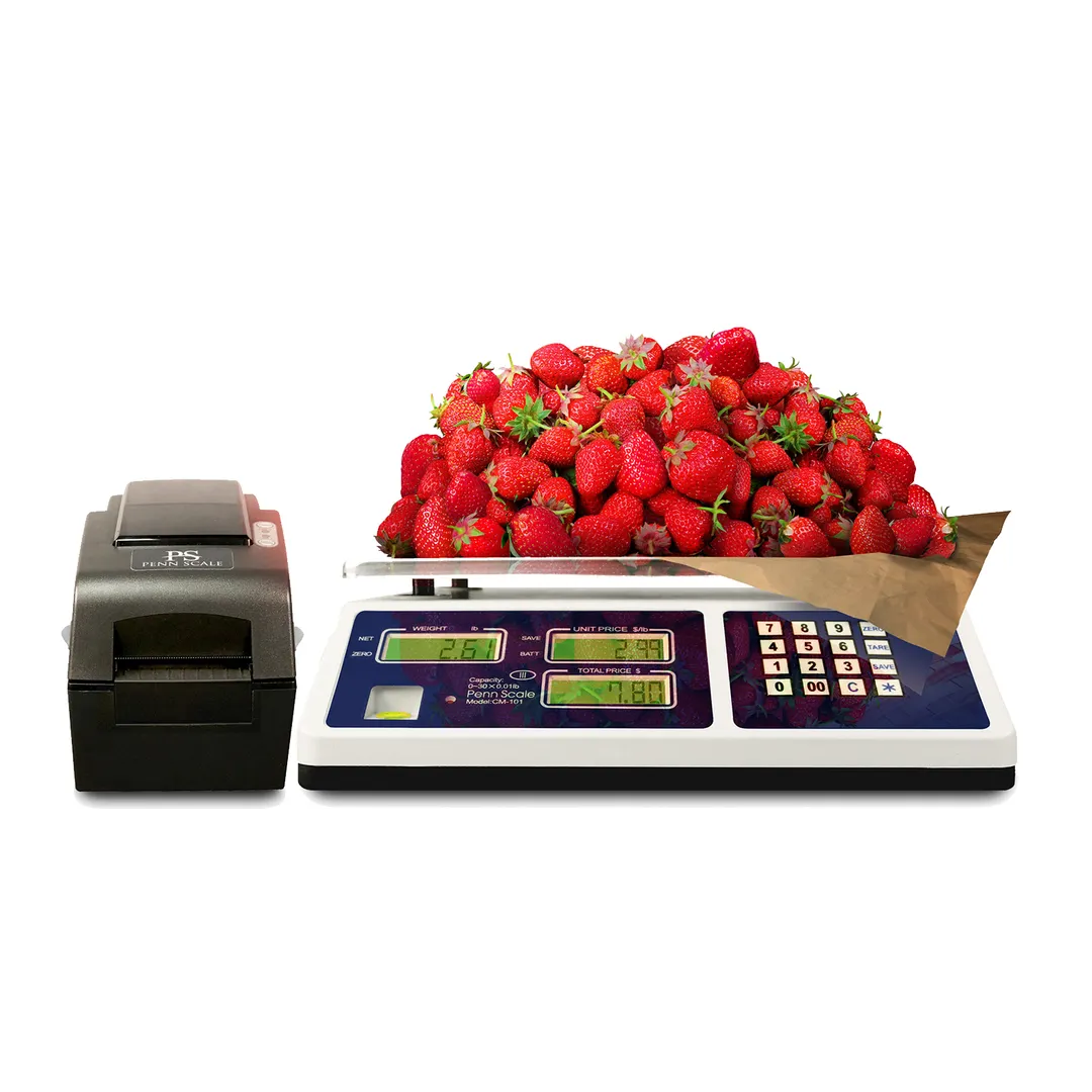 Penn Scale CM101-1RS232 30 lb / 15 kg Scale, 11" x 9" Platform, LCD Display, Tare/Zero, Printer Port, AC/DC
