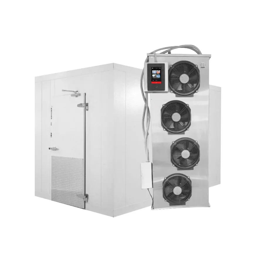 PrepRite PBC-850-TS-CAB-2DR 64" Roll in Blast Chiller, 2 Roll in Racks