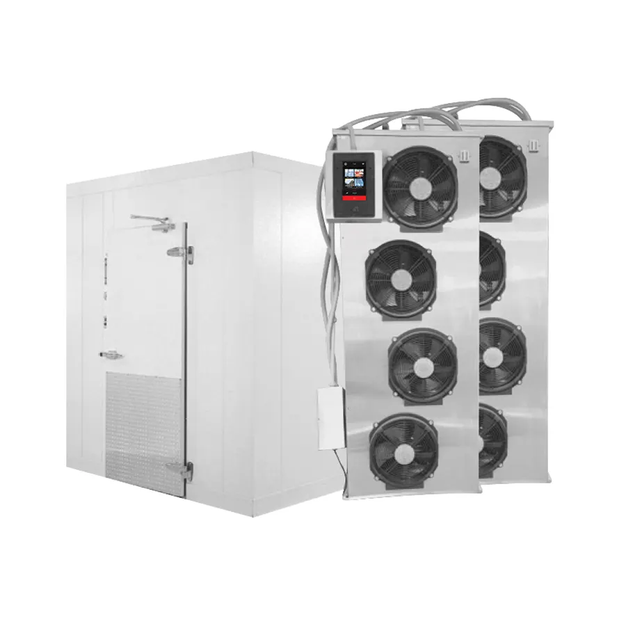 PrepRite PBF-850-TS-CAB-2DR Roll-in Blast Chiller / Shock Freezer