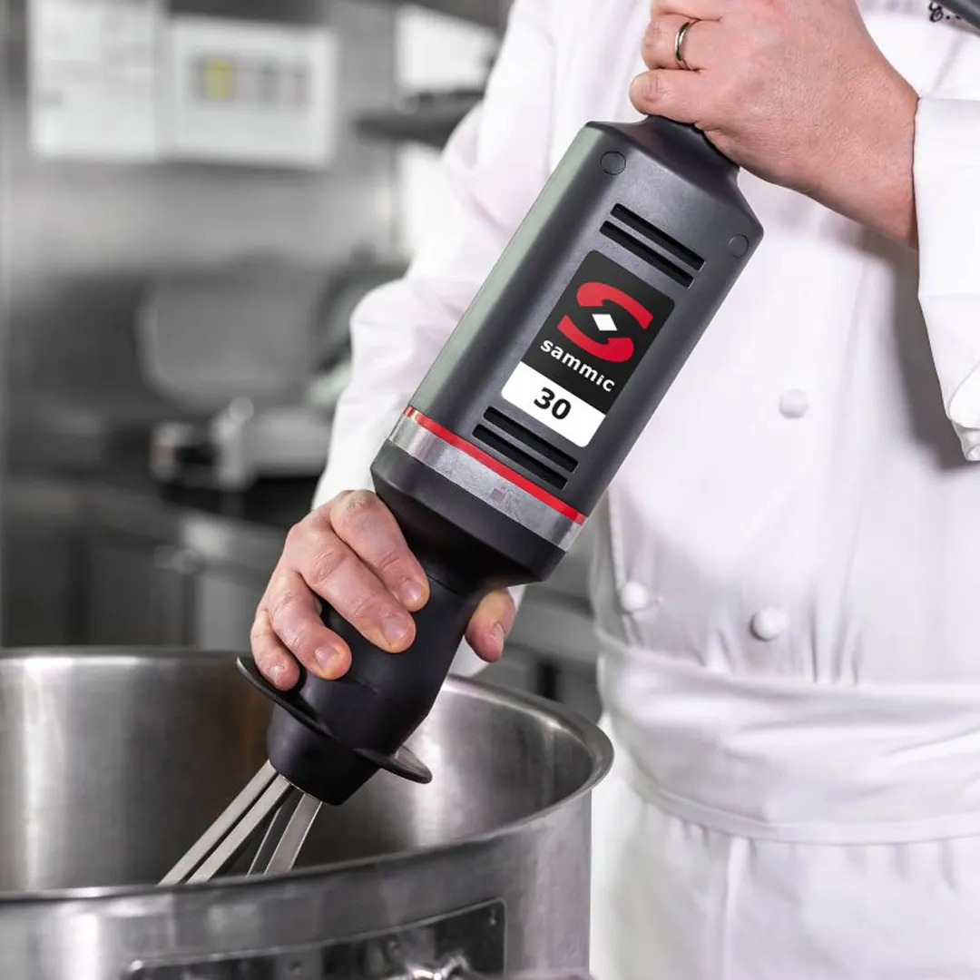 Sammic B-30 (3030807) Commercial Mixer Hand Whisk, Wall Mount