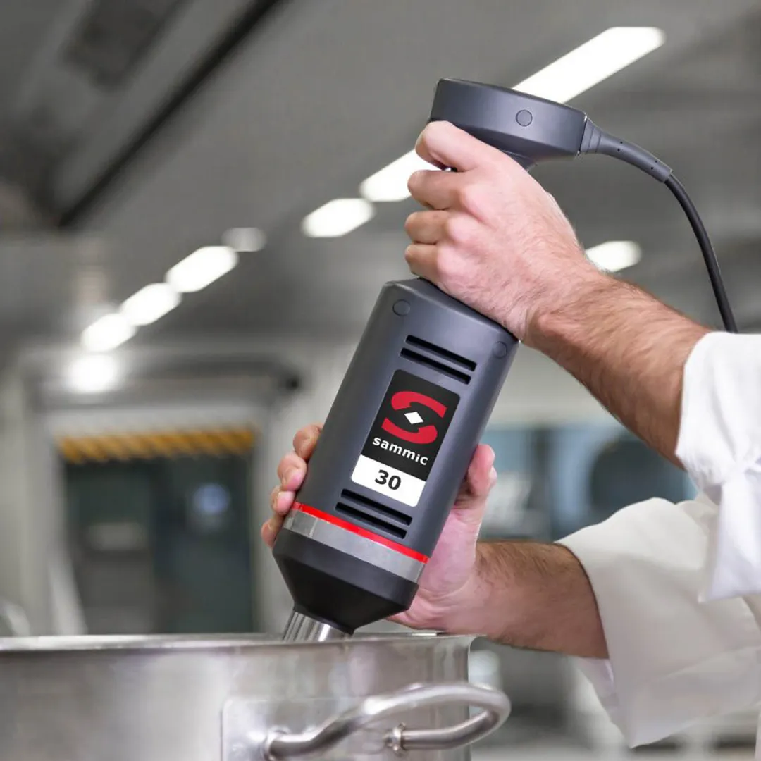 Sammic XM-31V (3030789V) Immersion Stick Blender, Handheld, Wall Mount
