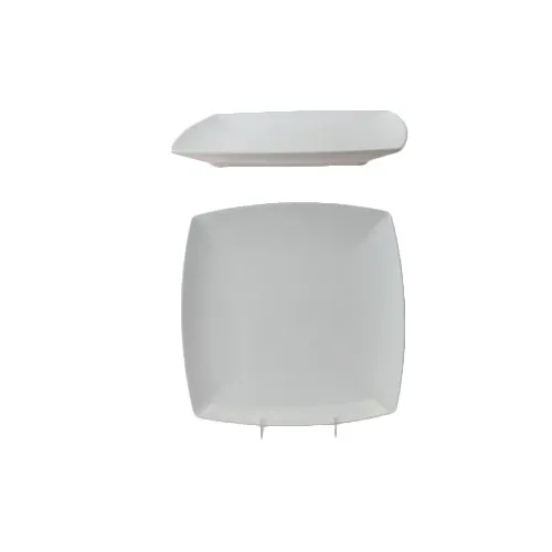 Thunder Group 29010WT Plate, 10" X 10", 1" Deep, Square - Dozen